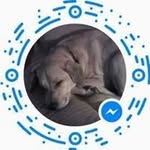 Anna Schilling - @anna.schilling.319 - Instagram