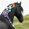 anna schuh - @annas.com - TikTok