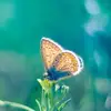 annaschuhmann576 - @annaschuhmann576 - TikTok
