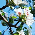 Anne Schukraft - Facebook