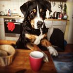 Anna Schuller - @schuller3211 - Instagram
