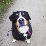 schuller_anna01 - @anna_schuller01 - Instagram