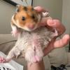 user904581557811053 - @annaschuller5 - TikTok