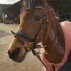 anna Schulte - @as1909 - TikTok