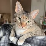 Anna Schumaker - @annarosegs - Instagram