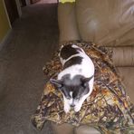 Anna Schworm - Facebook