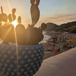 Sciascia Anna - @anna.sciascia.35 - Instagram