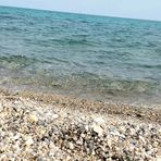 Anna Scimone - Facebook