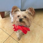 Anna Sclafani - Facebook