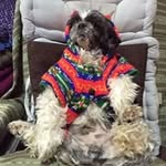 Maria Anna Scola - @scola_maria - Instagram