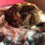 Anna Scudiero - @scudiero_anna - Instagram