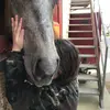 Anna scudiero - @annascudiero - TikTok