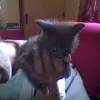 annascuncio685 - @annascuncio685 - TikTok