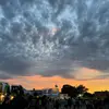 Lilianna Sealey - @lilianna.sealey - TikTok