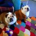 Anna Sear - Facebook