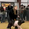 DeeAnna Searcy - @deeanna.searcy - TikTok