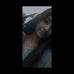 Anna Sebastian - Facebook