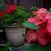 Anna Sedera Beloha - Facebook