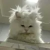 Anna Sedova - @yusi_bo - TikTok