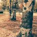 Anna Segarra Pauner - Facebook
