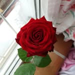 Anna Seger - @annibananni2309 - Instagram