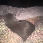 Anna Seibel - @anna_e_2468 - Instagram