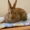 Annah Seibel - @annahseibel - TikTok