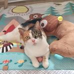 Anna-Lena Seibold - Facebook