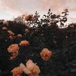 Mia Anna Seibold - @miaanna_07 - Instagram