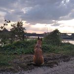 Anna Seidler - @seidler564 - Instagram