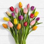 Anna Seif - Facebook