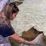 anna seifried - @anna_seifried - Instagram