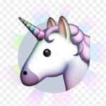 Anna Seiler - @unicorn.anna.mara - Instagram