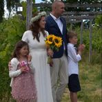 Anna Selander - Facebook