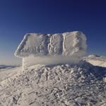 Anna Selander - @annaselanderart - Instagram