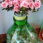 Anna Sellaro - Facebook