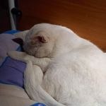 Anna Maria Sellitto - @annamaria.sellitto.50 - Instagram
