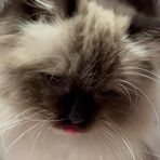 Anna Sellitto - Facebook