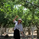 Anna Semak🌿 - @anna_semakkk - Instagram