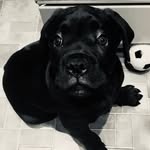 Anna Semenets - @semenetspppp - Instagram
