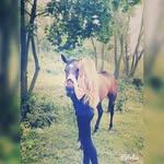 ANYA - @anna_semenets - Instagram