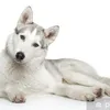 Anna Semeraro - @user8200206303406 - TikTok