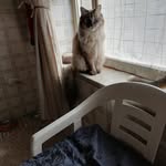Anna Senatore - @anna.senatore.5070 - Instagram