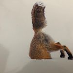Anna Senecal - @acsenecal - Instagram