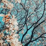 Anna Senecal Maillet - @mailletx3 - Instagram