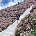 𝓐𝓷𝓷𝓪 𝓢𝓮𝓸𝔀 蕭豔娜 - @annaseowjiana - Instagram