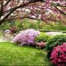 Ana Sequeira - Facebook