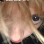 Sequoias biggest fann - @sequoiasfannacc - Instagram