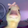 Anna Serafin - @anna.serafin5 - TikTok