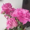Anna Serafin - @anna.serafin7 - TikTok